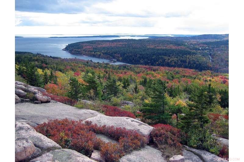 University of Maine Leverages AI to Monitor Forest Soil Moisture Efficiently