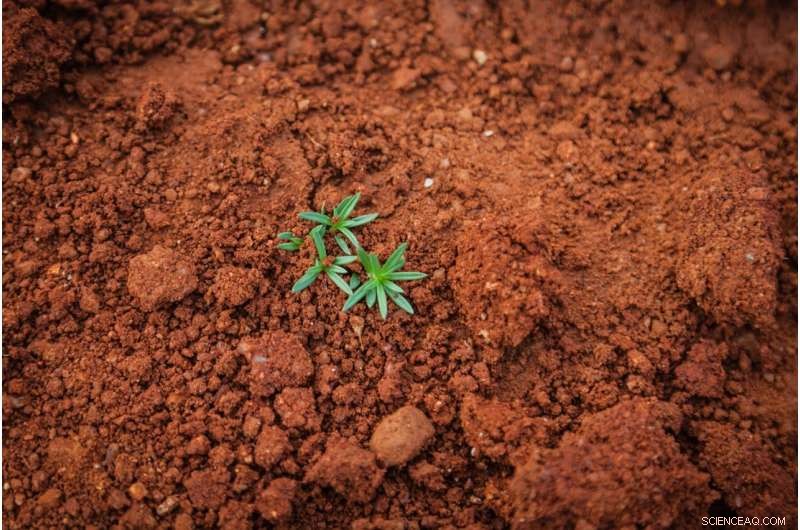 How Farming Practices Can Protect and Strengthen Earth s Soil Microbiome