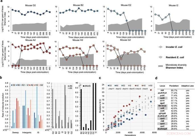 How Gut Bacteria Evolve Over a Year: Findings from Recent Research
