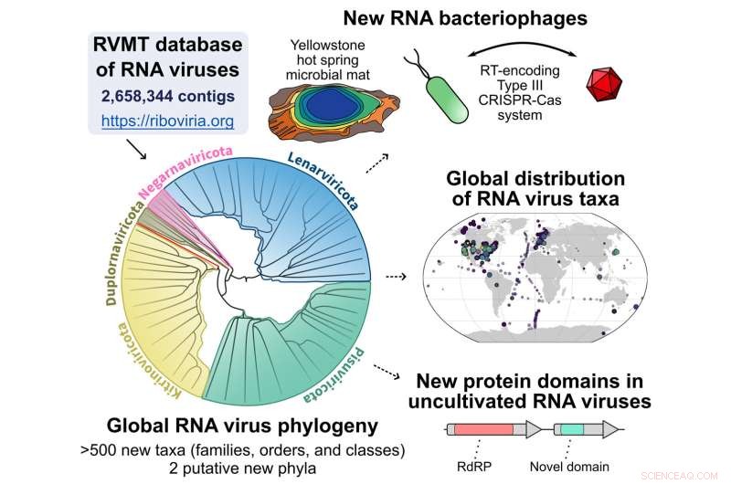 Efficiently Identify RNA Virus Sequences in Massive Datasets with the RVMT Pipeline