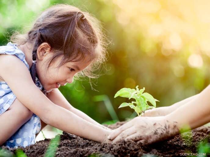 Exploring the Microbiome of Plants: How Microbes Shape Plant Health