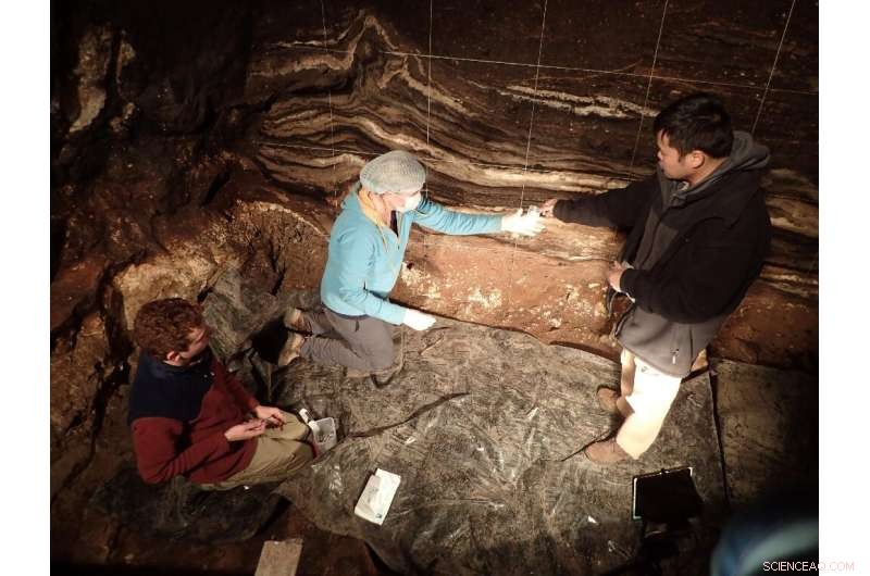 Nobel Laureate Svante Pääbo Illuminates Ancient DNA in Paleogenetics