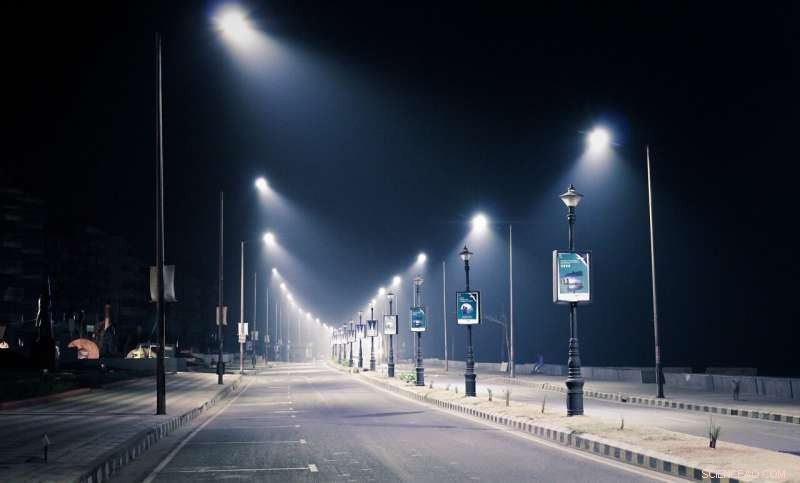 How Energy‑Efficient LED Streetlights Affect Insect Behavior: Findings from a Four‑Year Study