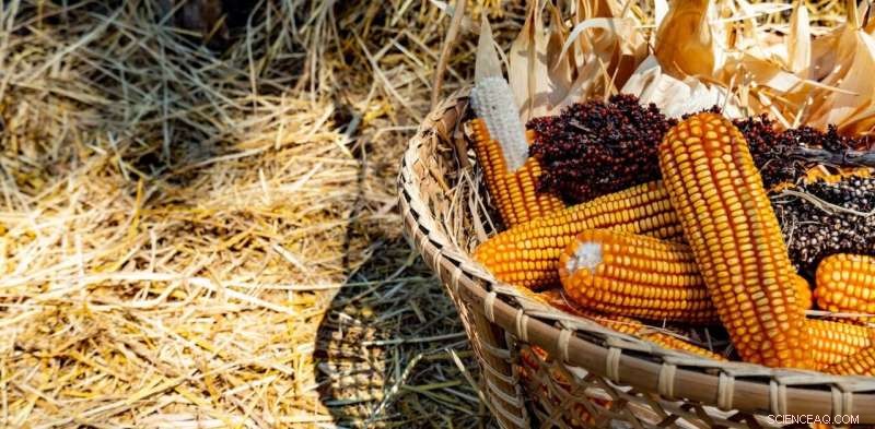 Enhancing Indigenous Food Sovereignty Through Precise Data Collection