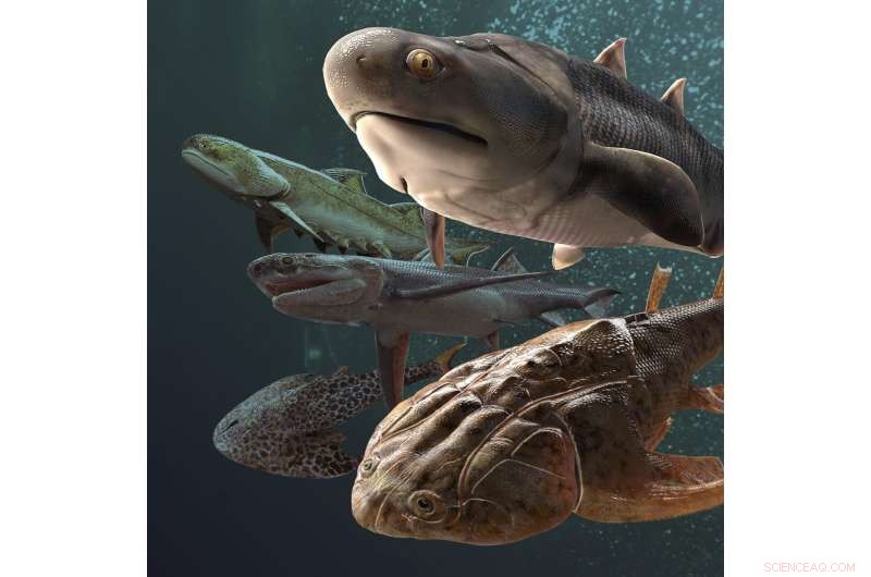 China’s Silurian Fish Fossils Reveal the Oldest Known Teeth in 400‑Million‑Year‑Old Specimens