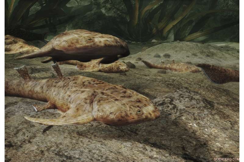 China’s Silurian Fish Fossils Reveal the Oldest Known Teeth in 400‑Million‑Year‑Old Specimens