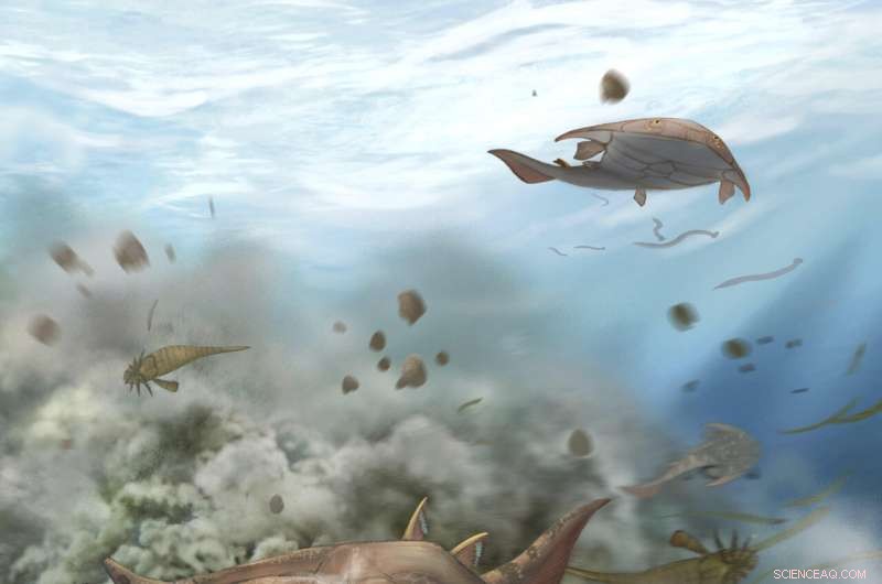 China’s Silurian Fish Fossils Reveal the Oldest Known Teeth in 400‑Million‑Year‑Old Specimens