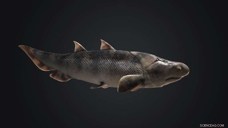 China’s Silurian Fish Fossils Reveal the Oldest Known Teeth in 400‑Million‑Year‑Old Specimens