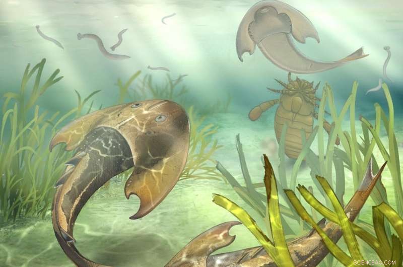China’s Silurian Fish Fossils Reveal the Oldest Known Teeth in 400‑Million‑Year‑Old Specimens