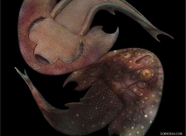 China’s Silurian Fish Fossils Reveal the Oldest Known Teeth in 400‑Million‑Year‑Old Specimens