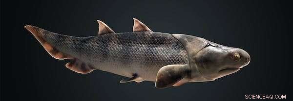 Ancient Fish Fossils Unearthed by Unexpected Discovery: Scientists Reveal World s Oldest Complete Jawed Fishes