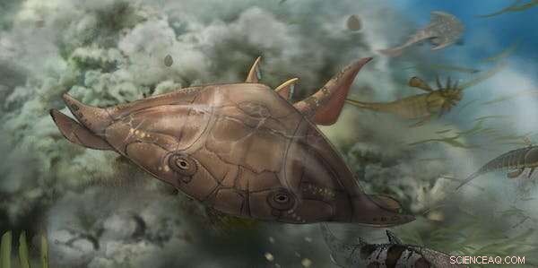 Ancient Fish Fossils Unearthed by Unexpected Discovery: Scientists Reveal World s Oldest Complete Jawed Fishes