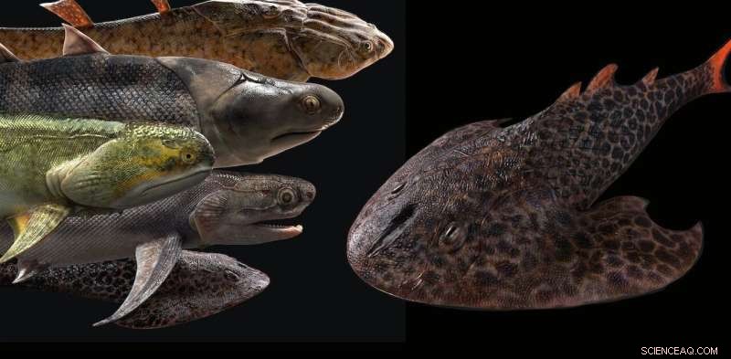 Ancient Fish Fossils Unearthed by Unexpected Discovery: Scientists Reveal World s Oldest Complete Jawed Fishes