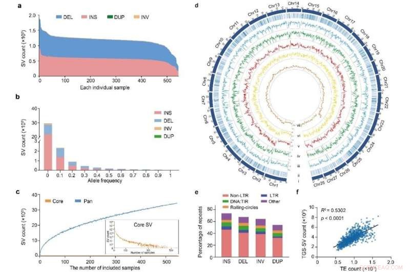 Scientists Map World s Largest Silkworm Pangenome, Revealing Secrets of Silk Quality