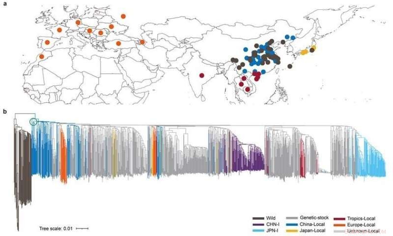 Scientists Map World s Largest Silkworm Pangenome, Revealing Secrets of Silk Quality