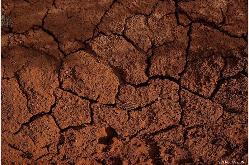 Single-Cell Tools Uncover the Active Antibiotic Resistome in Soil Ecosystems