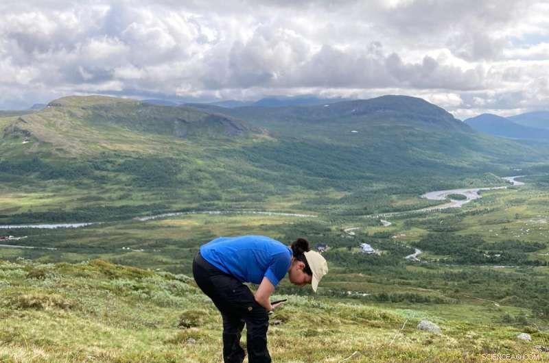 Reindeer Grazing Lands in Fennoscandia Under Increasing Pressure: Impacts and Conservation
