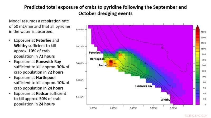 Pyridine Identified as Culprit Behind Mass Crab and Lobster Mortalities on UK North Sea Coasts