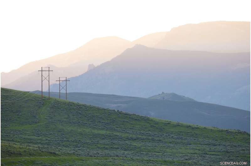 Biden Administration Proposes New Wind Permit Program That Could Increase Eagle Mortality