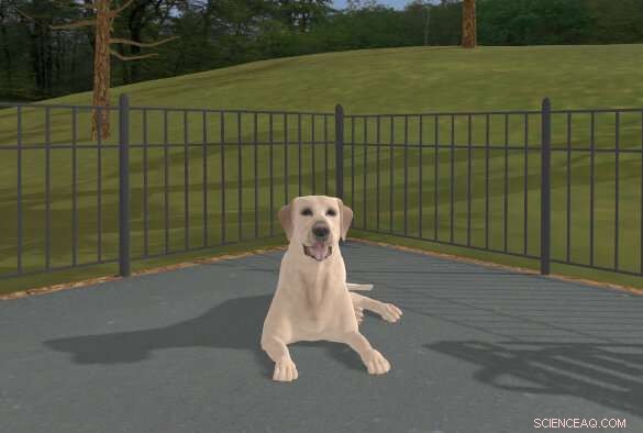 Virtual Labrador Aims to Reduce Dog Bites in New Study