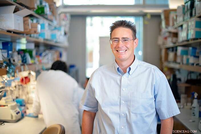 Groundbreaking Mycobiome Atlas Reveals Cancer‑Fungi Connections Across 12 Tumor Types