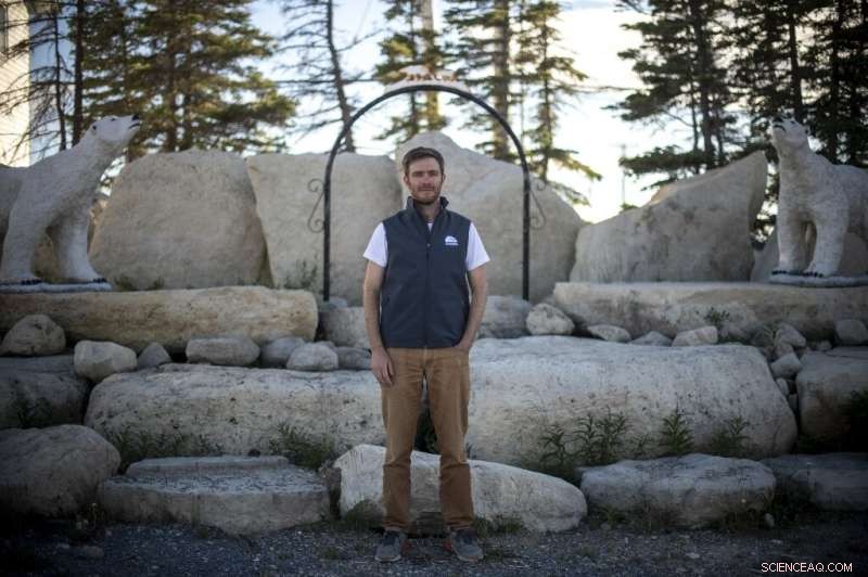 Melting Ice Threatens Canada s Polar Bears: Rising Risks and Habitat Shifts