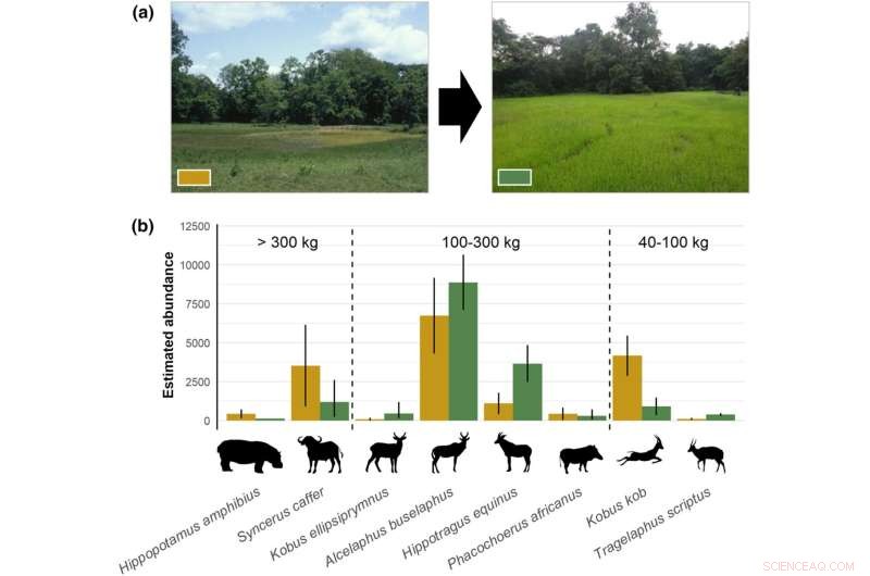 Study Reveals Lasting Ecological Impact of War on Local Wildlife