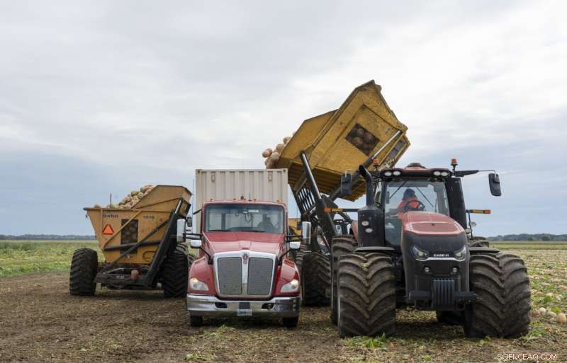 Pumpkin Farms Embrace Regenerative Practices to Boost Soil Health and Cut Emissions