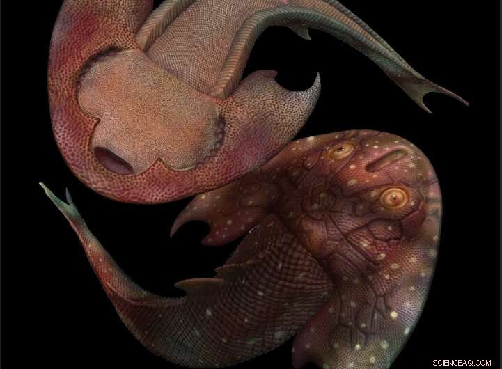 Jawless Fish Discovery Sheds Light on Evolutionary Origins of Fins and Limbs