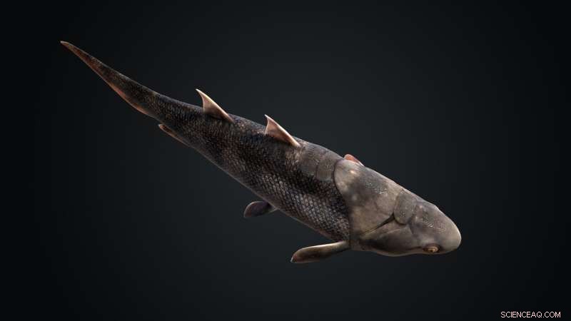 New Fossil Reveals Complete Anatomy of 436-Myr-Old Jawed Fish Xiushanosteus mirabilis