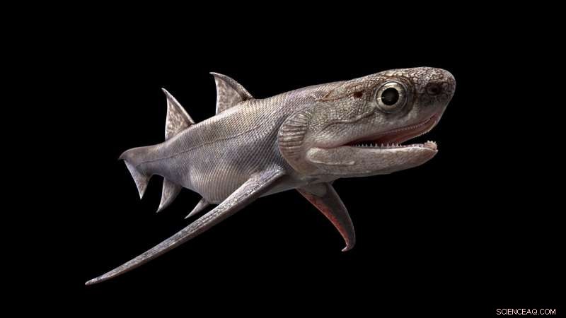 Ancient Fish Fossils Rewrite Vertebrate Evolution Timeline