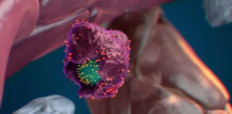 Macrophages Ensure Stem Cell Quality by Vetting Cellular Health