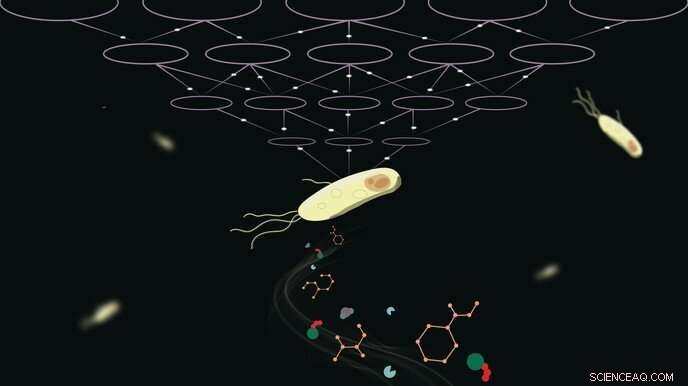 AI-Driven Insights Revolutionize Cellular Metabolism Modeling