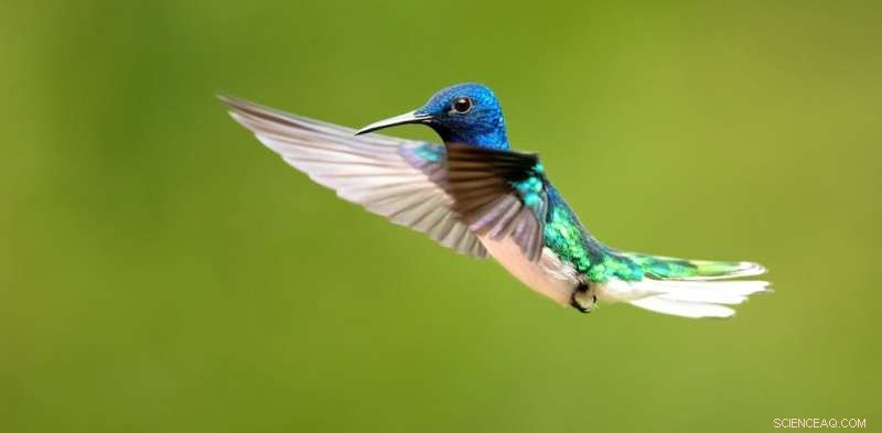 Sex & Power in the Animal Kingdom: 7 Surprising Species That Challenge Conventional Wisdom