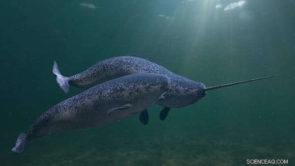 Sex & Power in the Animal Kingdom: 7 Surprising Species That Challenge Conventional Wisdom