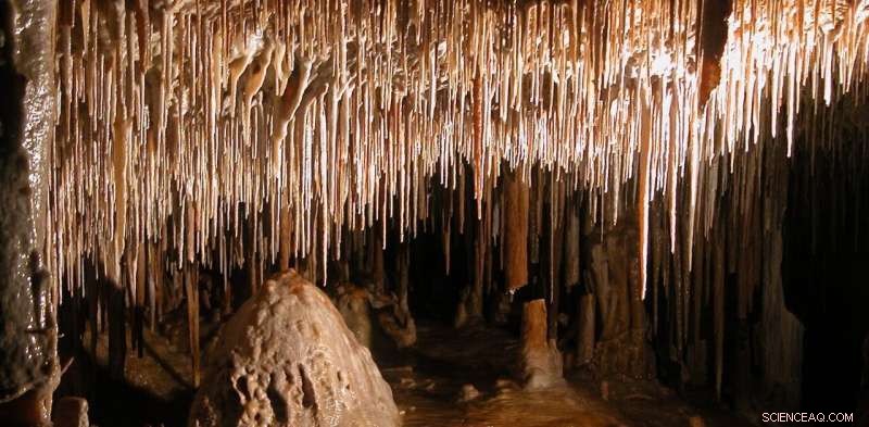 New Research Reveals Australian Caves Are 500,000 Years Older, Offering Clues to the Megafauna Extinction
