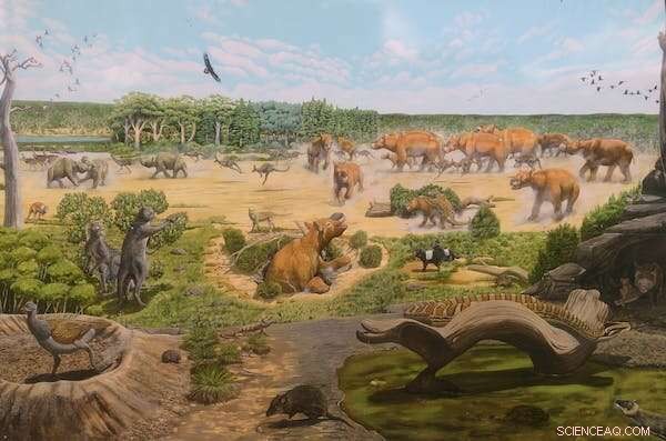 New Research Reveals Australian Caves Are 500,000 Years Older, Offering Clues to the Megafauna Extinction