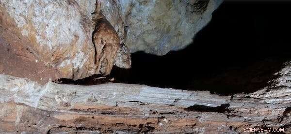 New Research Reveals Australian Caves Are 500,000 Years Older, Offering Clues to the Megafauna Extinction