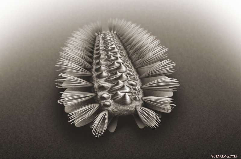 Ancient Armored Worm Illuminates the Ancestry of Three Major Animal Lineages