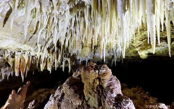 New Research Reveals Australian Caves Are 500,000 Years Older, Offering Clues to the Megafauna Extinction