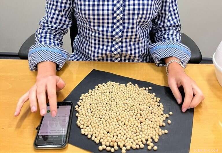 AI-Driven Grain Assessment Enhances Quality Control and Boosts Farmer Returns