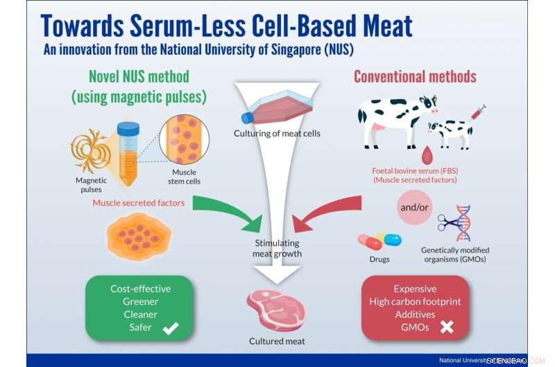 Climate Change May Significantly Expand Habitat of Invasive Stink Bugs