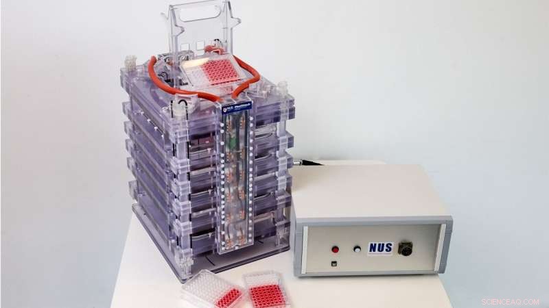 Scientists Pioneer Magnetic-Field Technique to Cultivate Lab-Grown Meat