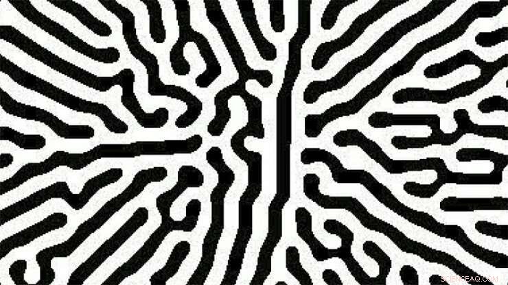 AI-Driven Message Decoder Using Bacterial Growth Patterns