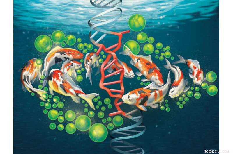 How a Carp Virus Decade-Long Study Unveiled Cellular Protein Mechanisms in Disease