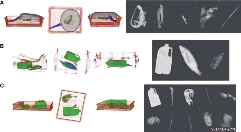 Leveraging 3D X‑ray Imaging to Detect Illegal Wildlife Trafficking