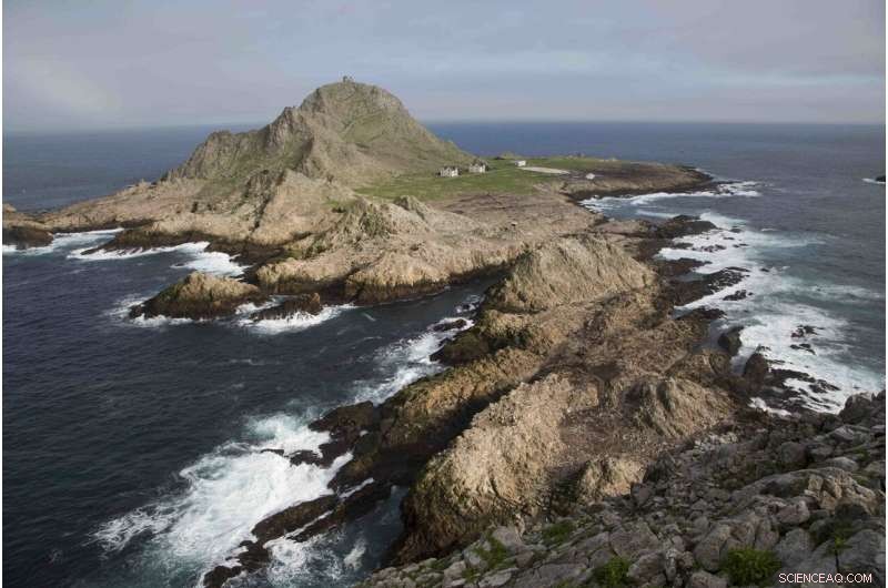 Invasive House Mice Reshape Farallon Islands: New Study Reveals Dietary Impacts