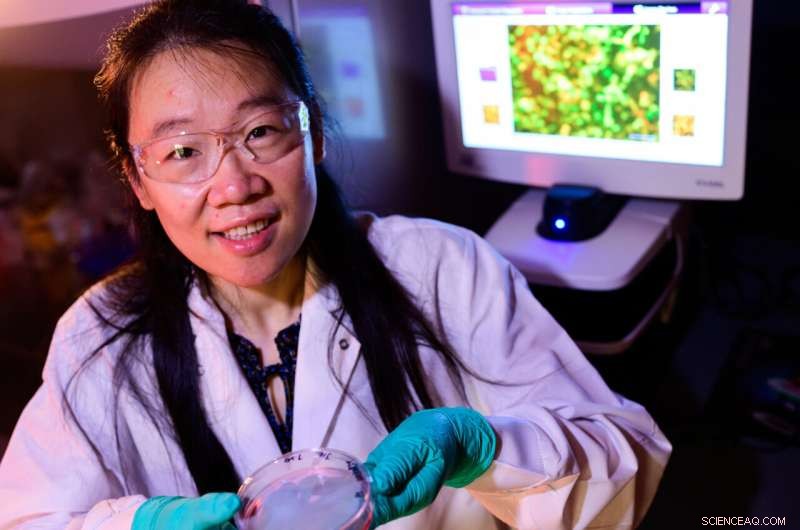 CRISPR-Based RNA Editing Tool Offers Rapid, Ultra-Sensitive COVID-19 Detection