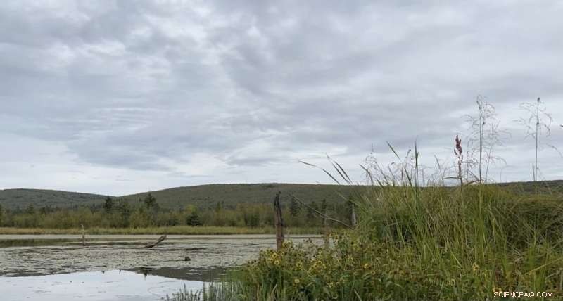 Alaska’s Newest Lakes Emit Methane, Highlighting Climate Risks