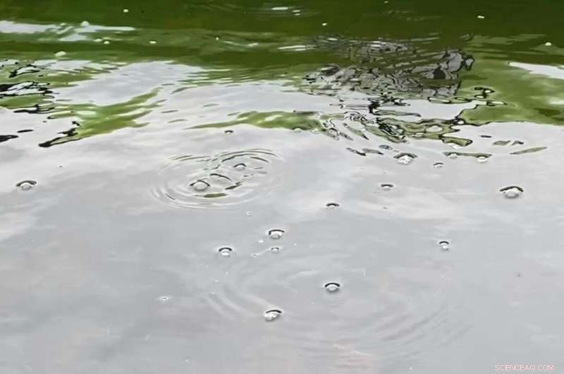 Alaska’s Newest Lakes Emit Methane, Highlighting Climate Risks